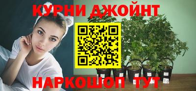 apvp Аргун