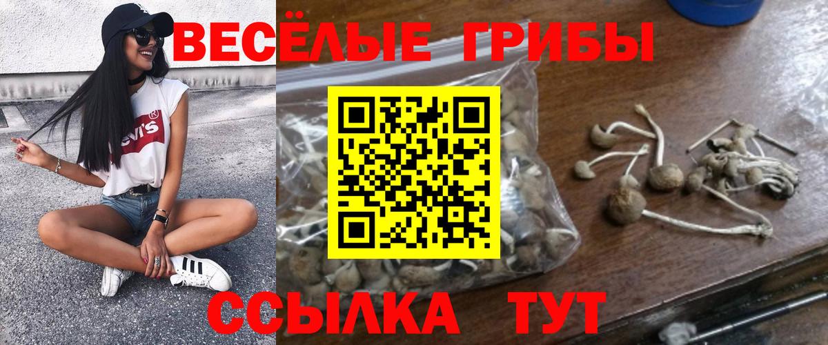 Галлюциногенные грибы ЛСД Ахтубинск