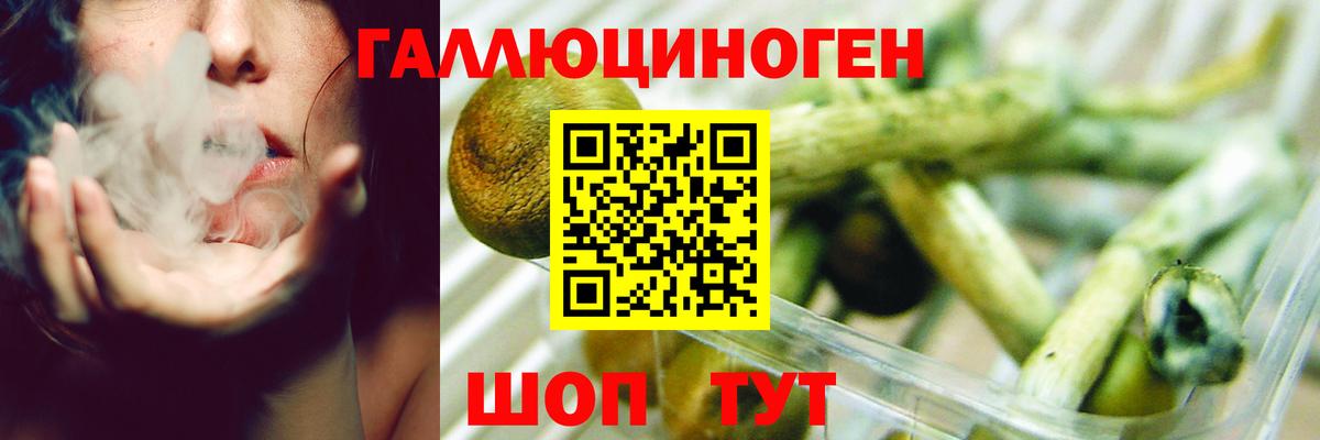 Ахтубинск  Галлюциногенные грибы прущие грибы  Псилоцибиновые грибы GOLDEN TEACHER  Вход с VPN 