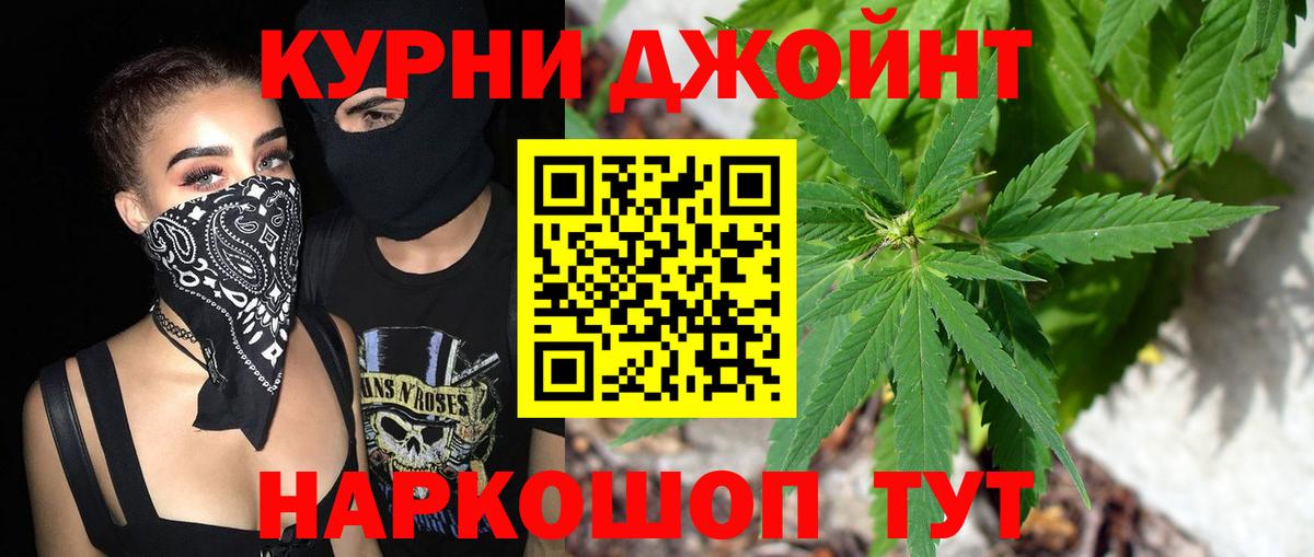 Каннабис OG Kush Ахтубинск